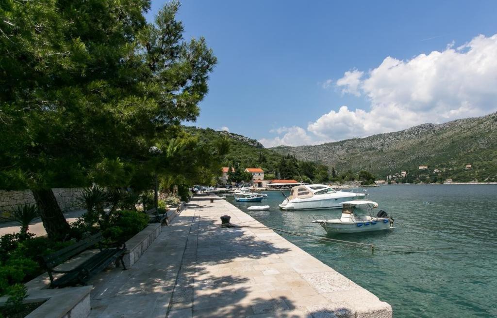 Guest House Zaton - Zaton Veliki Zaton (Dubrovnik-Neretva) Exterior foto
