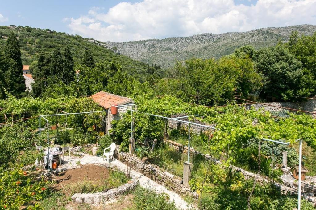 Guest House Zaton - Zaton Veliki Zaton (Dubrovnik-Neretva) Exterior foto